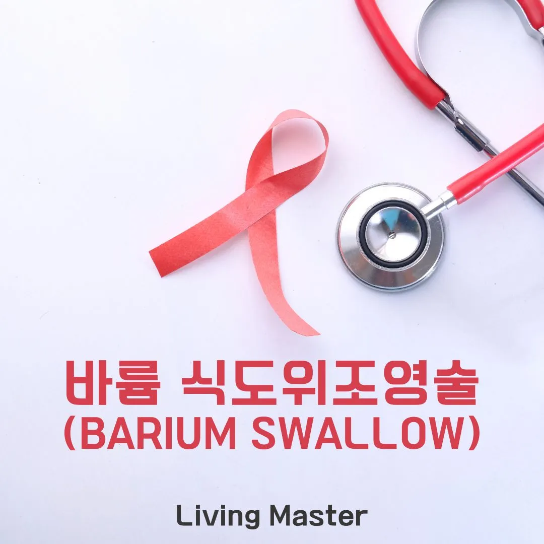 바륨 식도위조영술(Barium Swallow)