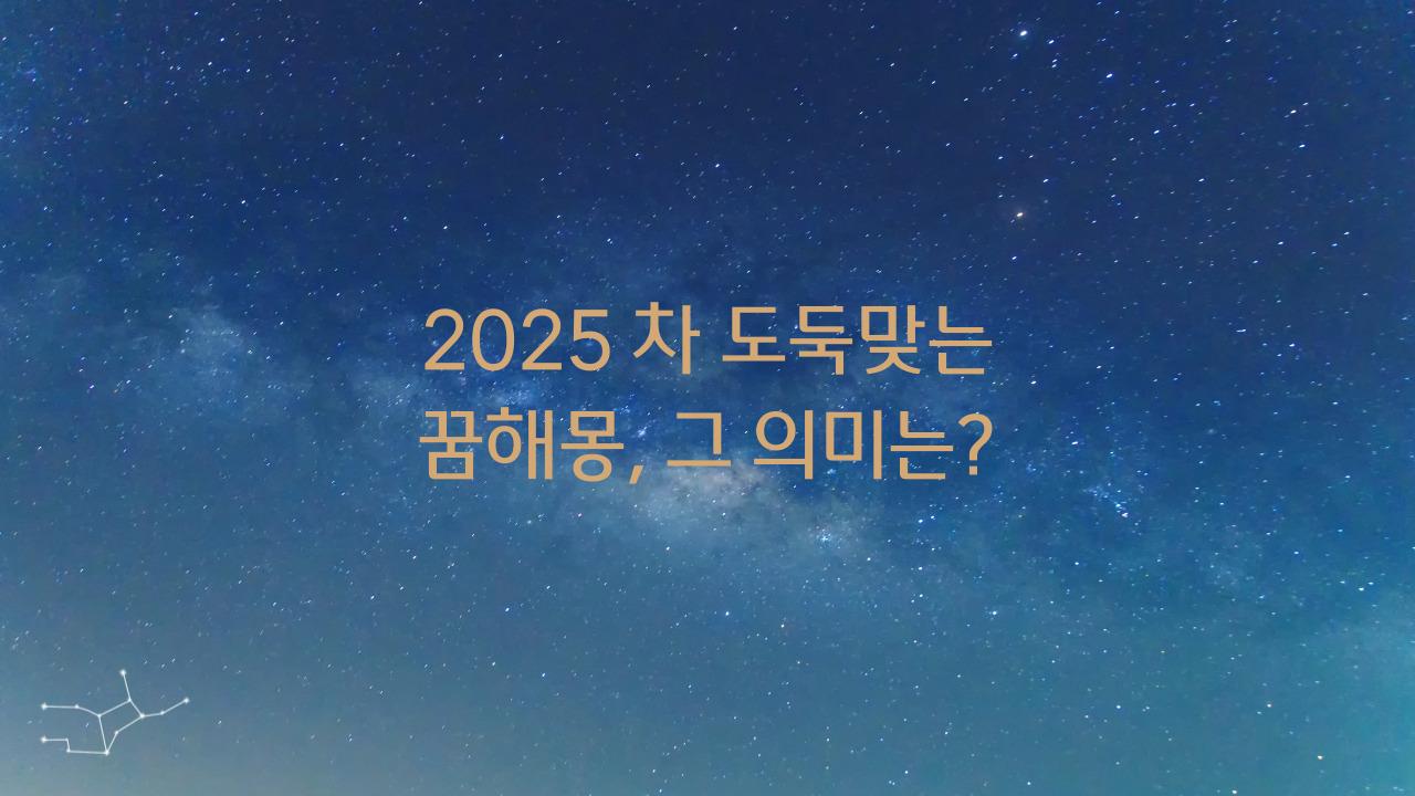 2025 차 도둑맞는 꿈해몽