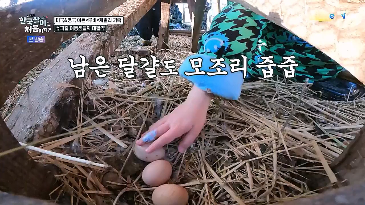 어서와 한국살이는 처음이지.E06.230125p-NEXT.mp4_20230125_192256.915.jpg