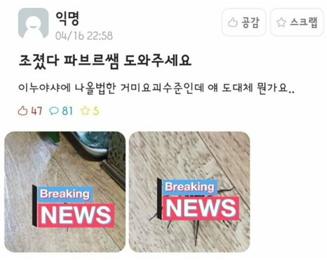  부산대 파브르.jpg