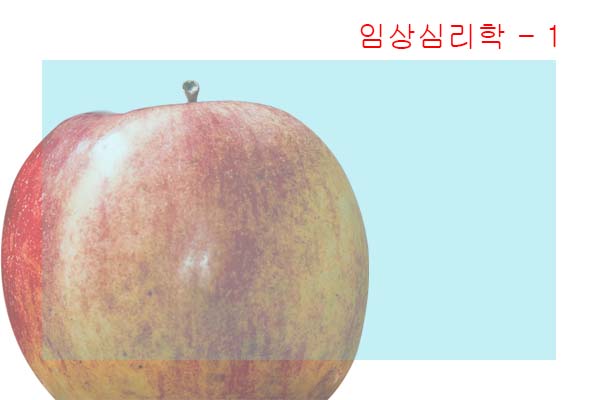  공부하다 죽기를