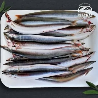 양미리 조림 레시피 및 맛있게 만드는 법_21