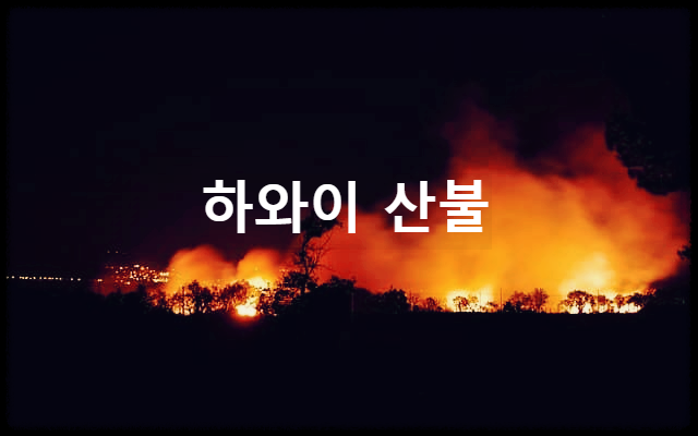  하와이 산불 : 미국 하와이주를 초토화 시킨 큰 산불