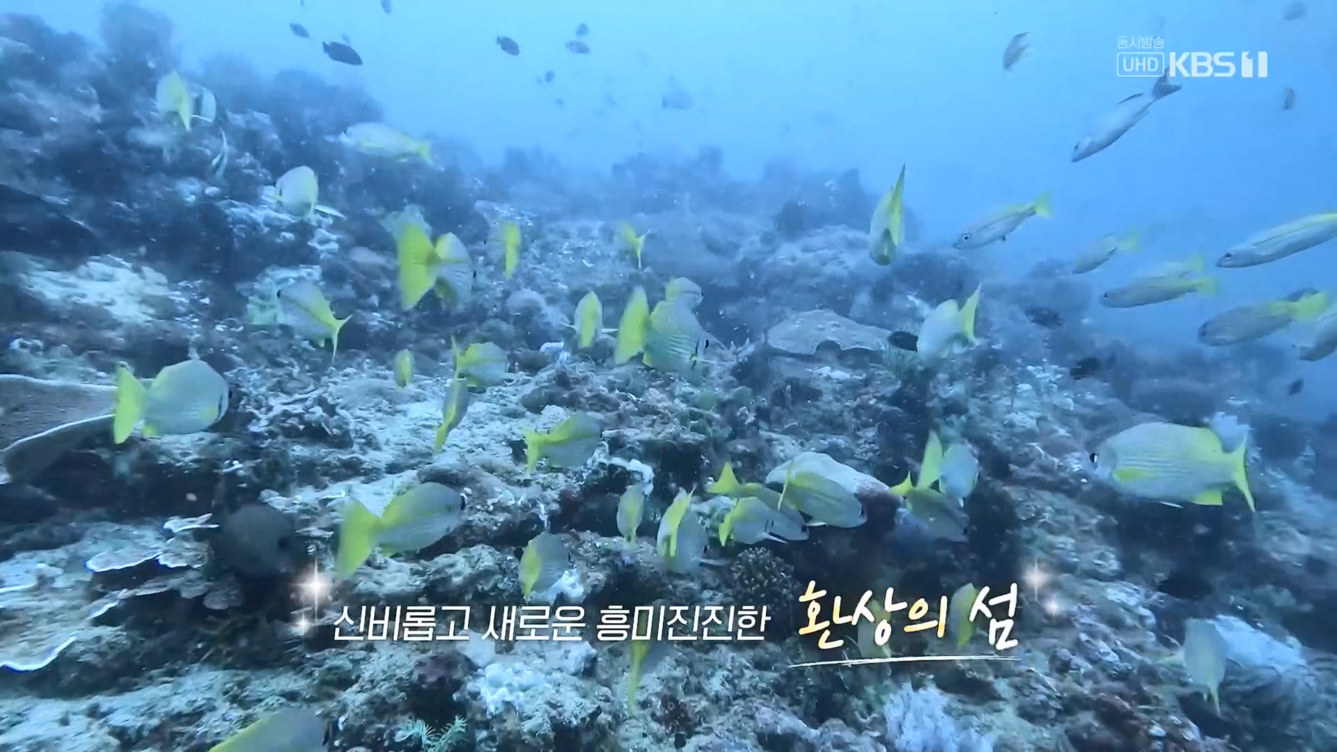 걸어서 세계속으로.E810.230930p.H264-F1RST.mp4_20231007_172840.531.jpg