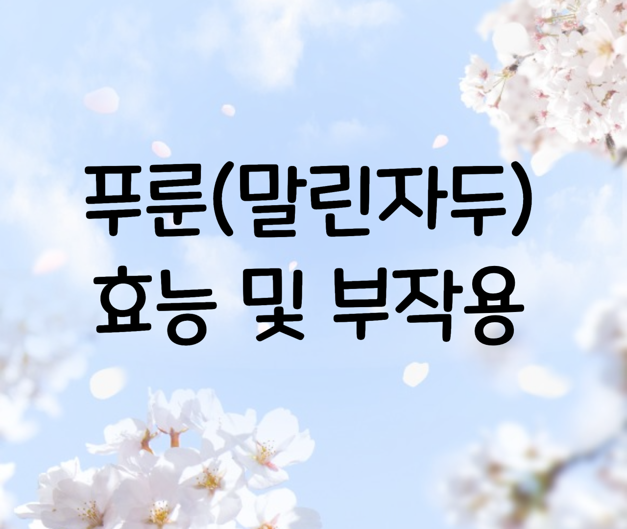  푸룬 건자두 효능 부작용, 말린자두(건자두) 칼로리 하루 권장량(섭취량) 몇개