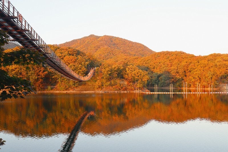 파주 마장호수 출렁다리