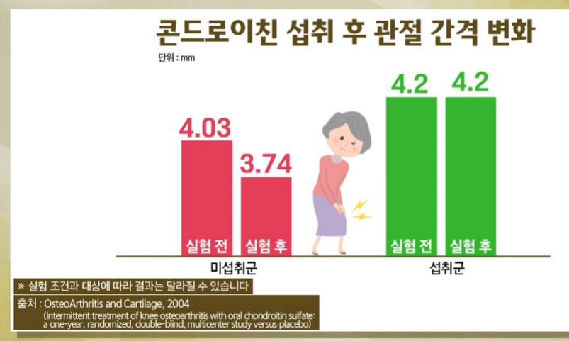 콘드로이친 효능