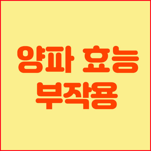  양파 효능 및 부작용