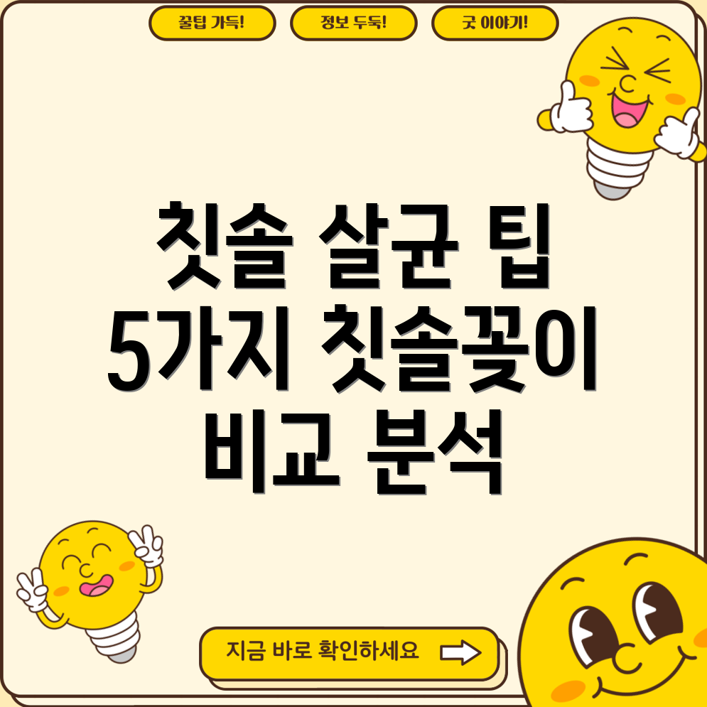 칫솔살균깨끗하게관리하세요5가지칫솔꽂이비교분석