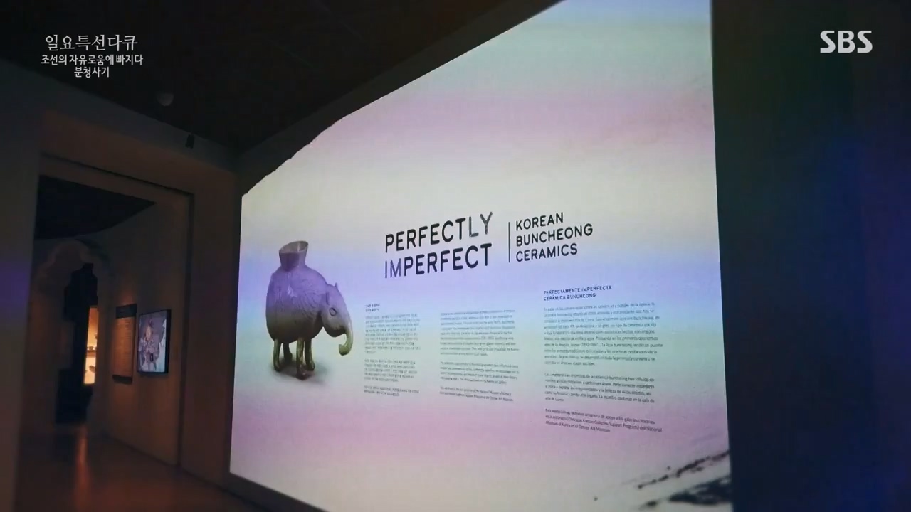 일요특선 다큐멘터리.E338.240129p-NEXT.mp4_20240129_204919.154.jpg