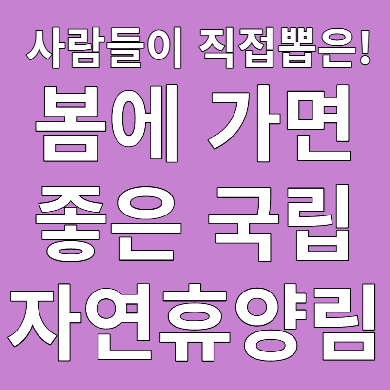 봄에 가봐야 할 사람들이 추천하는 국립자연휴양림