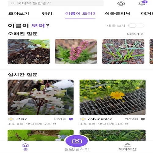 사진으로 식물이름찾기 어플 Top 3