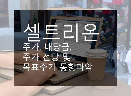  셀트리온 주가, 배당금, 주가 전망 및 목표주가 동향파악