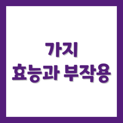 가지의 효능