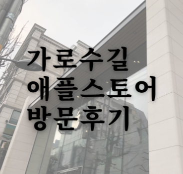 가로수길 애플스토어