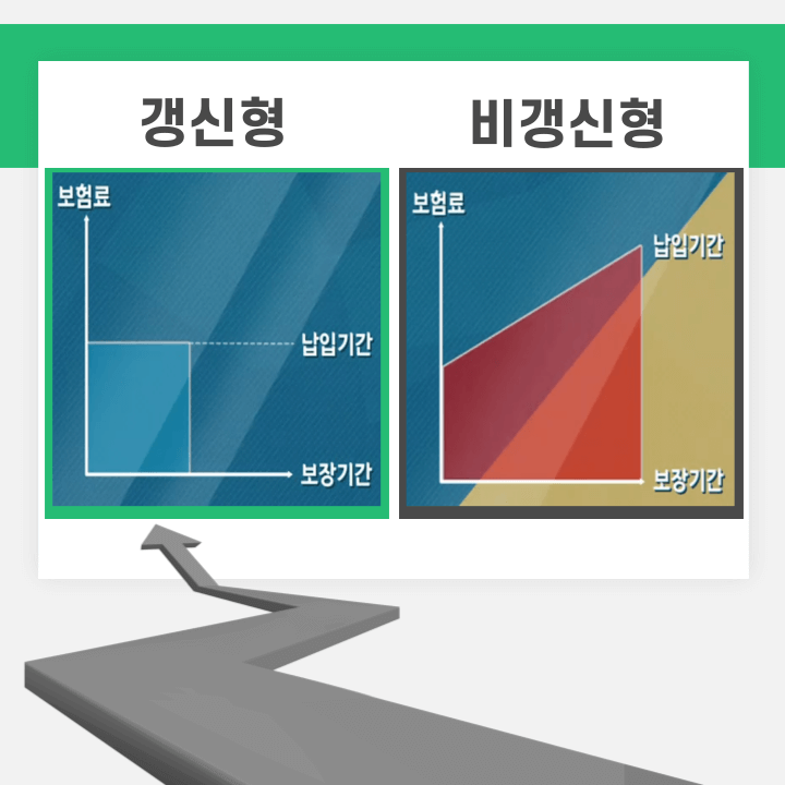 갱신형-비갱신형-보험-비교-그래프