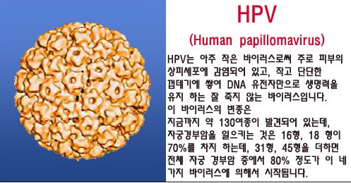  사마귀, 겨울에 인유두종바이러스 전파로 증가 한다고 합니다.