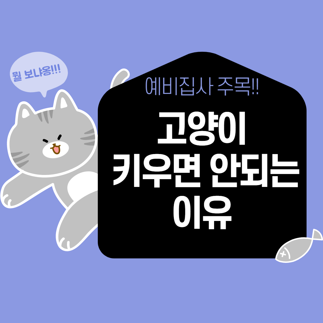 고양이 키우면 안되는 이유 고양이 키우면 안되는 이유