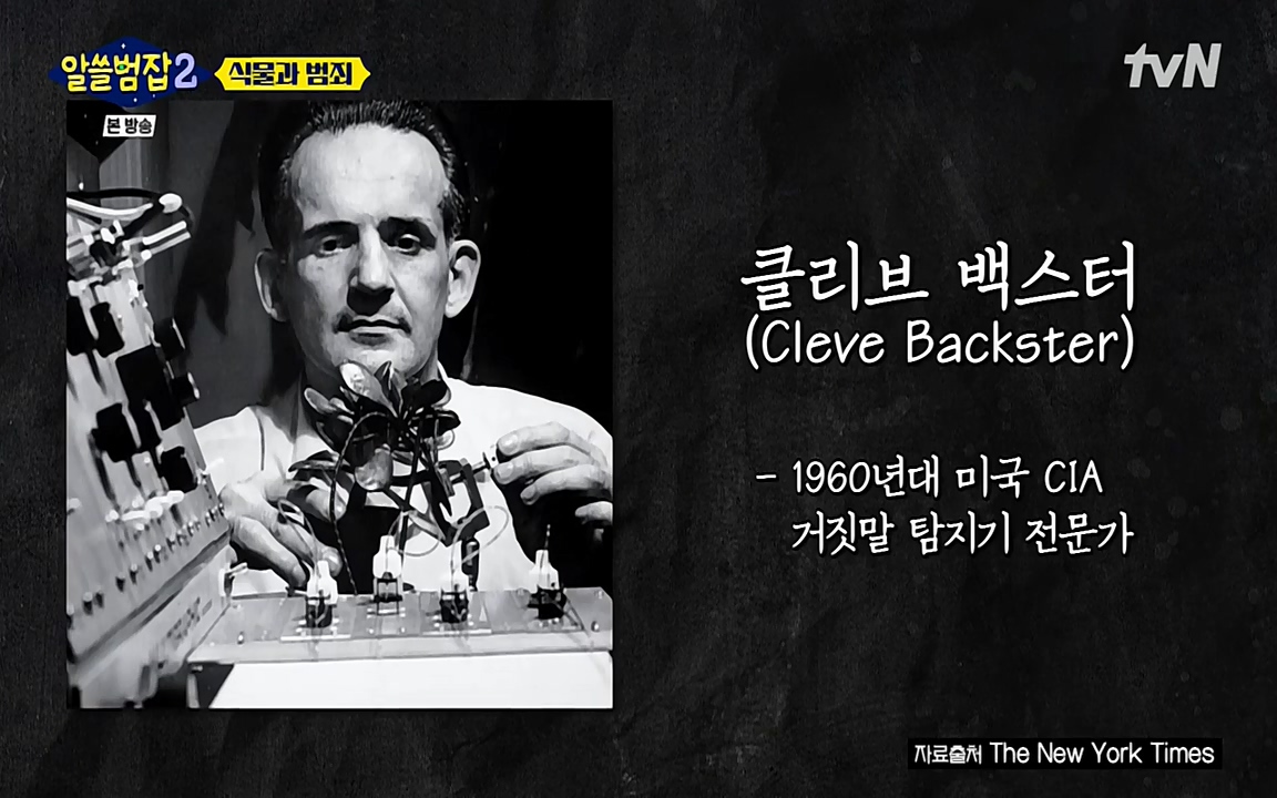 알쓸범잡 2.E15.220425p-NEXT.mp4_20220425_174946.332.jpg