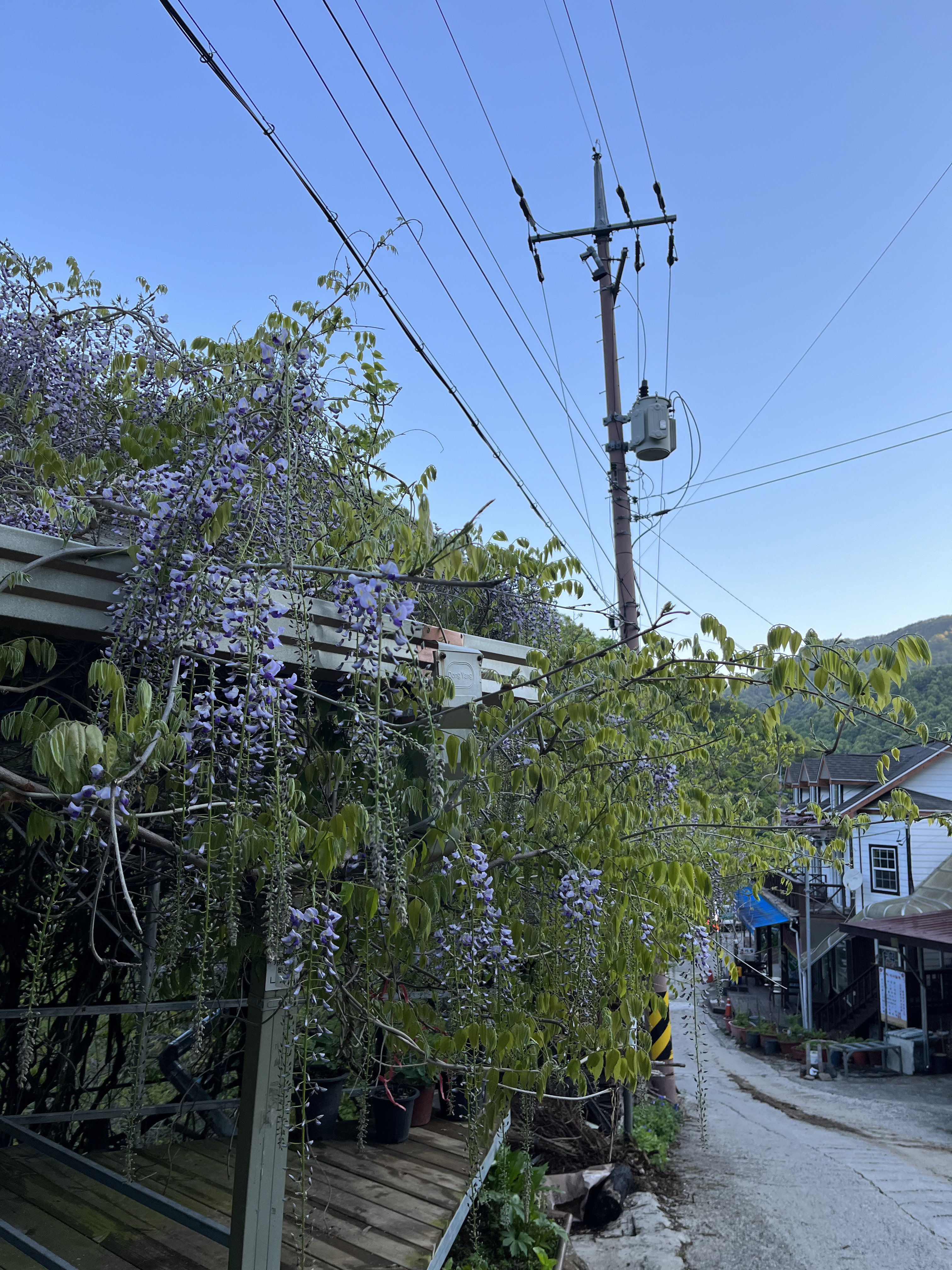 참샘산방 이미지