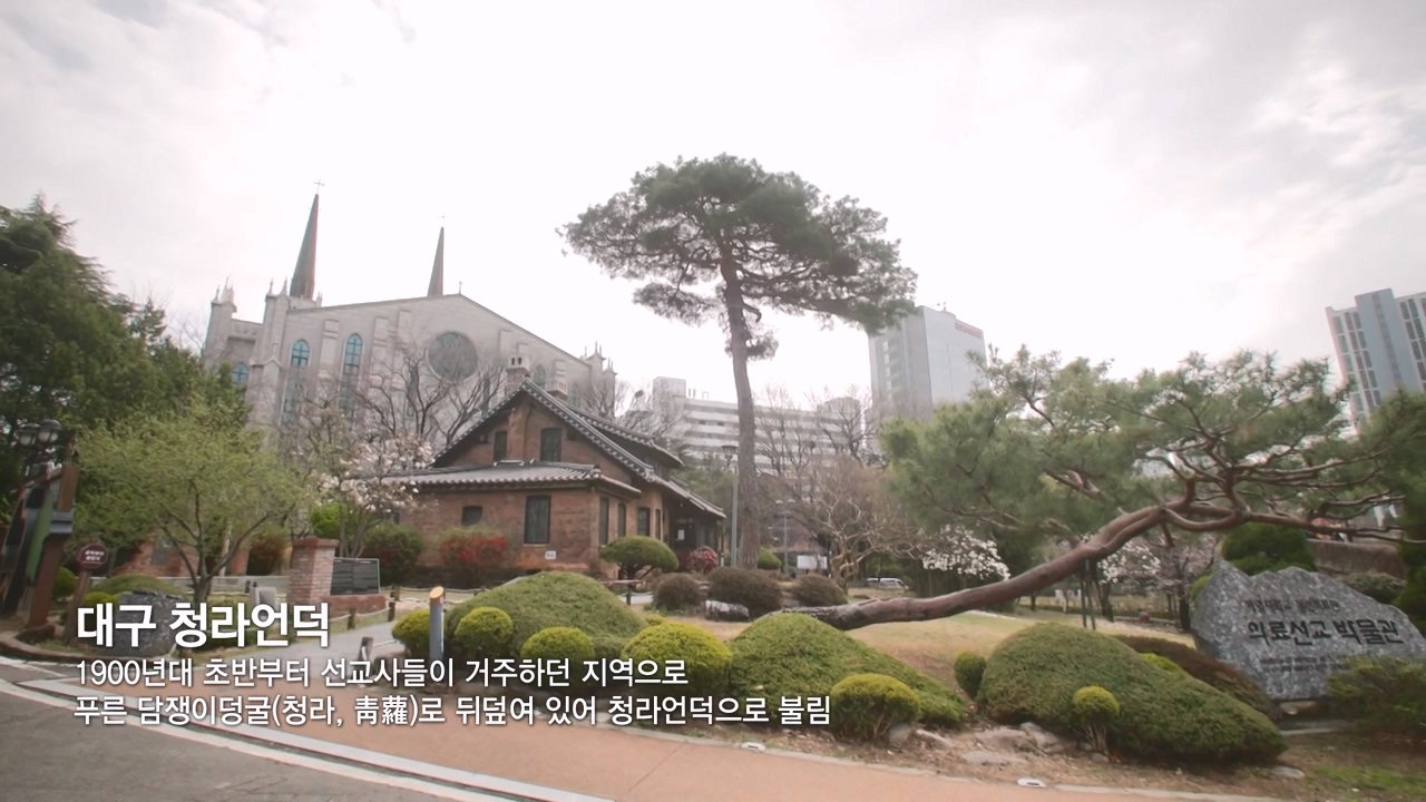 다큐 인사이트.E184.240510p-NEXT.mp4_20240510_202531.067.jpg