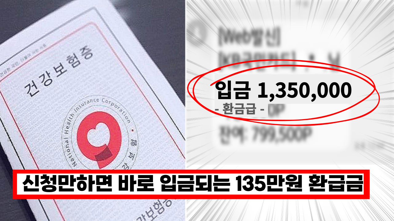  '소득, 재산 상관없어요' 전국민 99% 몰라서 못받는 건강보험 환급금 135만원 (+신청방법)