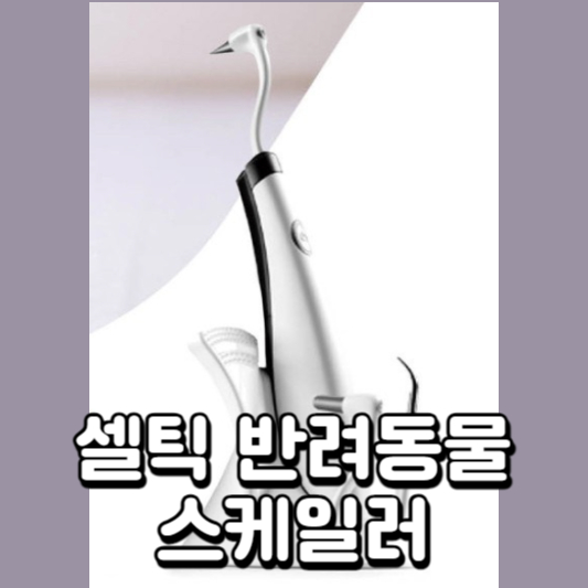 강아지-치석제거기
치석제거기
반려동물-치석제거기