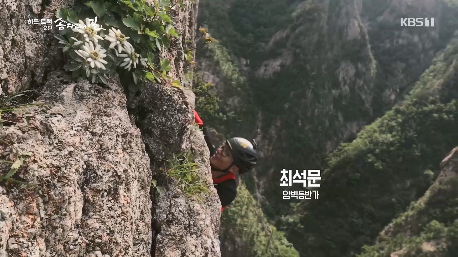 다큐 인사이트.E02.231215p.H264-F1RST.mp4_20231216_182833.441.jpg