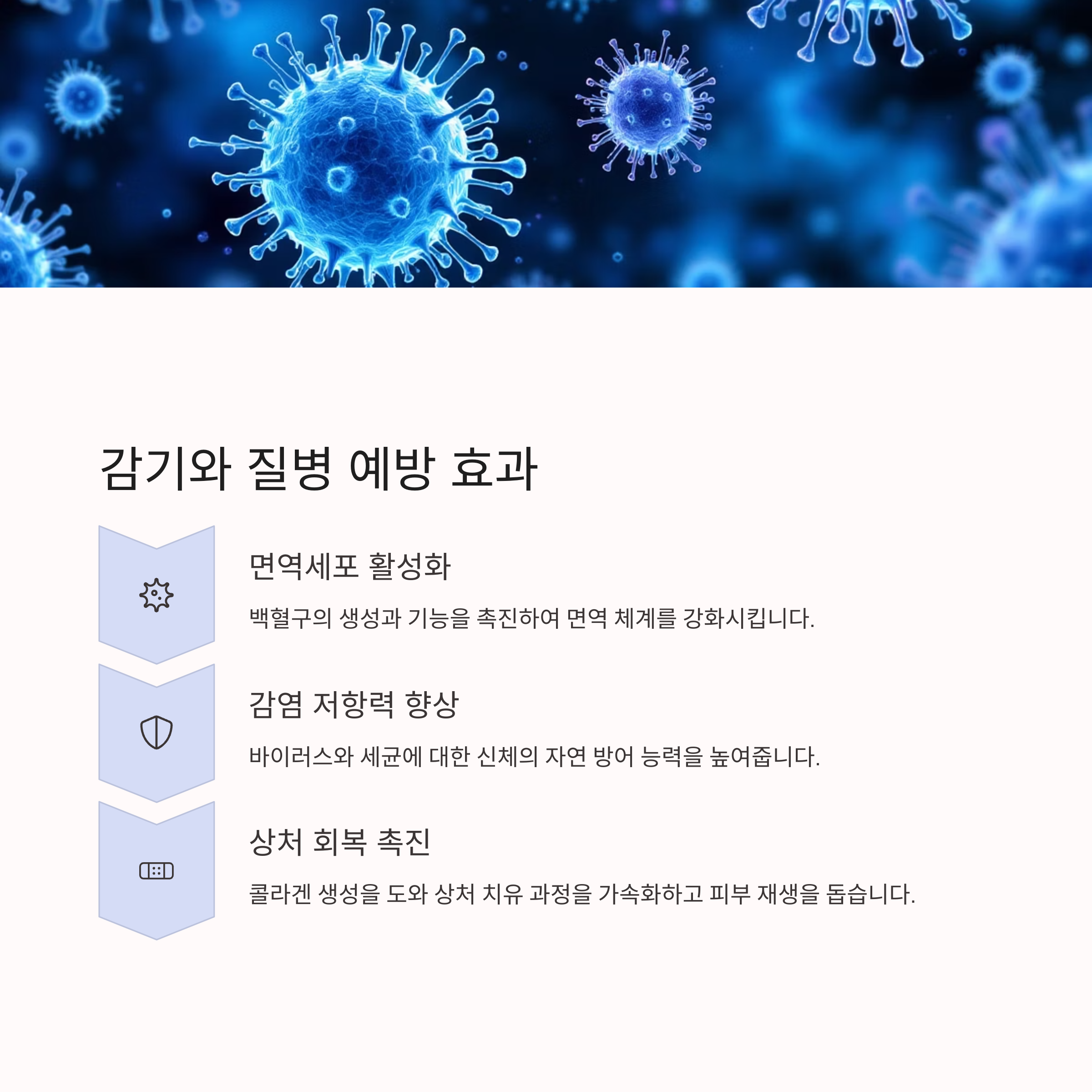 몸에 꼭 필요한 비타민 C: 항산화와 면역력