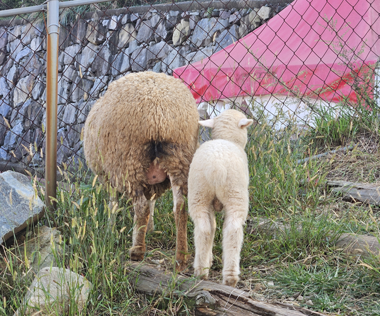 남해 가볼만한곳 베스트10