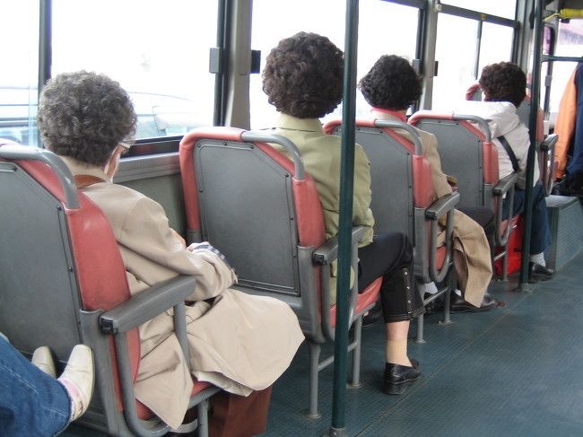 뽀글파마 이미지