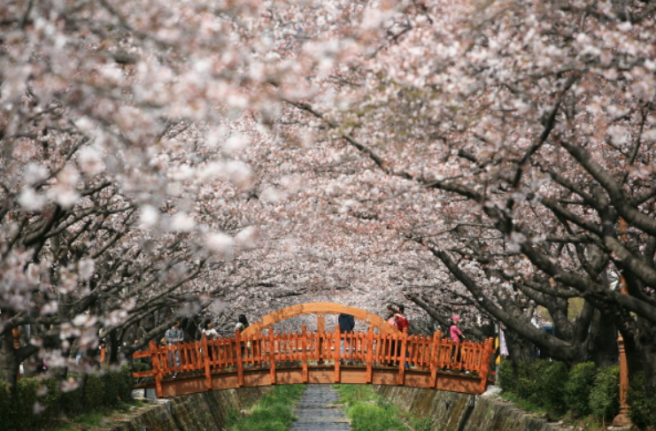 사진4