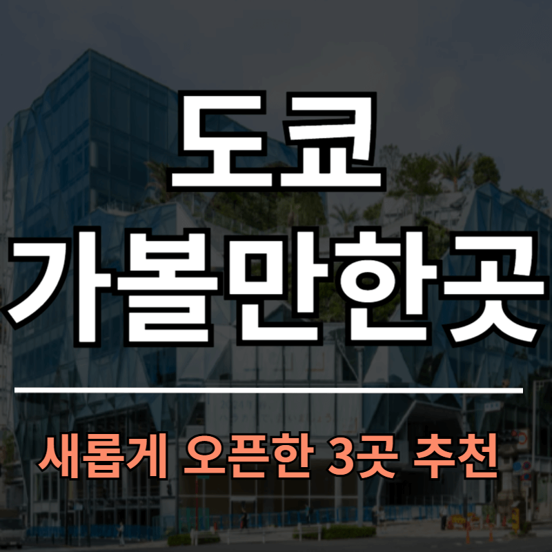 도쿄 가볼만한곳 새로 오픈한 3곳(하라카도, 이머시브 포트 도쿄, 도요스 센카쿠반라이)