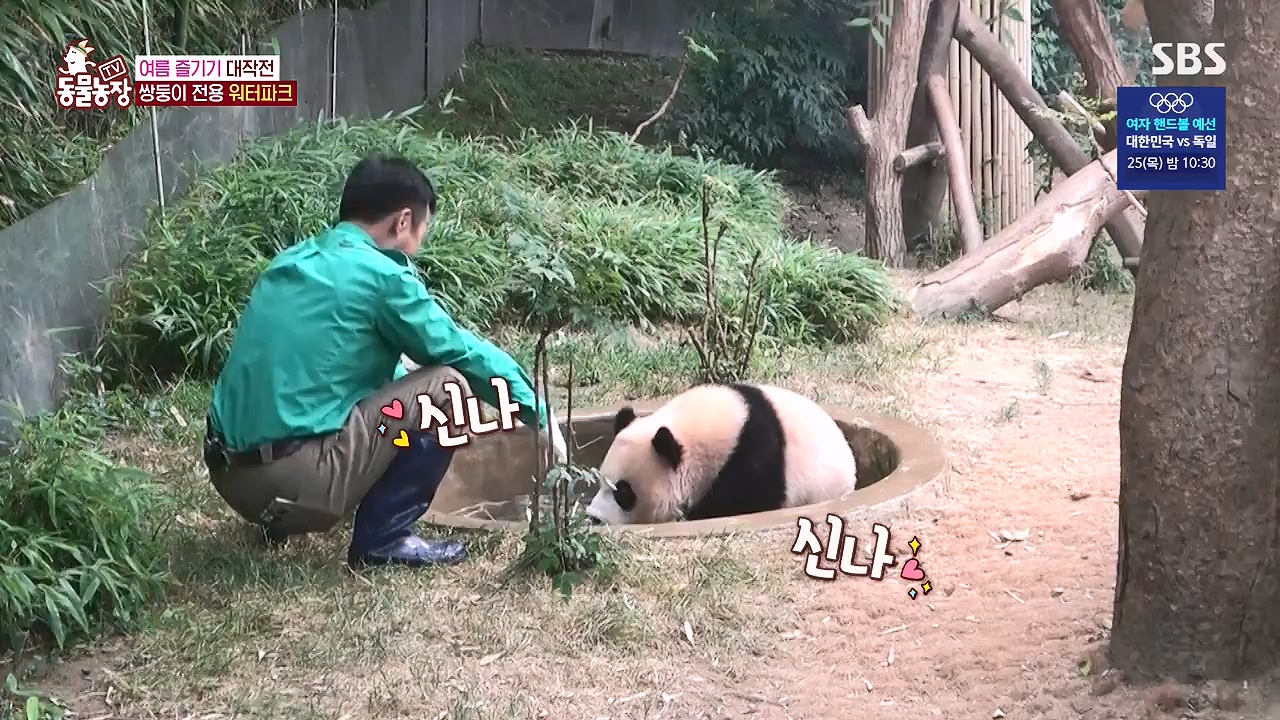 TV 동물농장.E1181.240722p-NEXT.mp4_20240721_165549.368.jpg