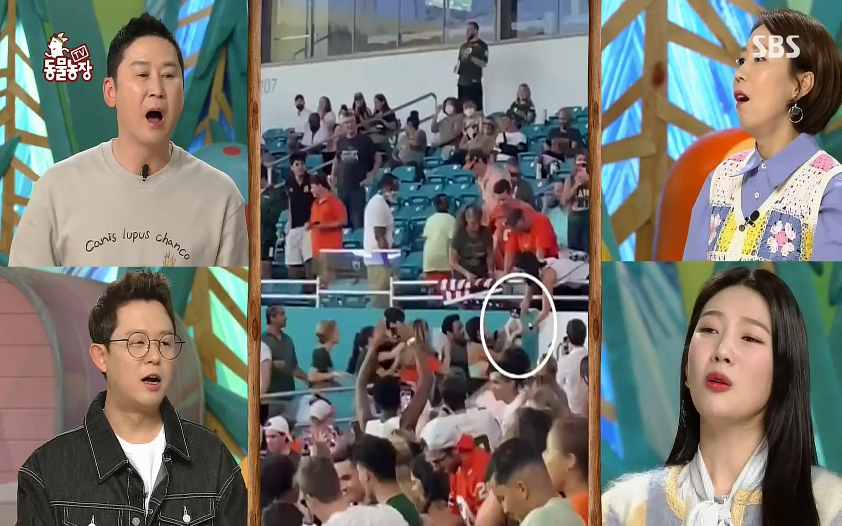TV 동물농장.E1063.220403p.H264-F1RST.mp4_20220403_175106.915.jpg