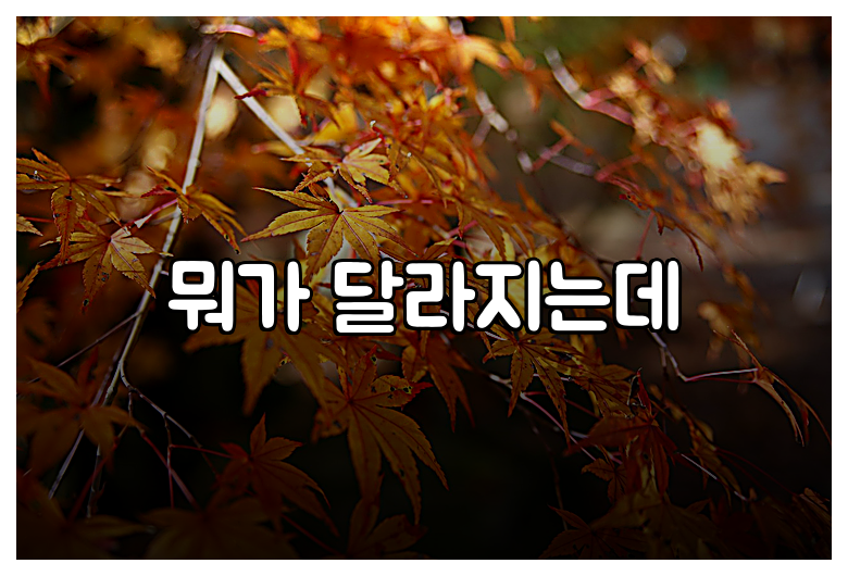 뭐가 달라지는데