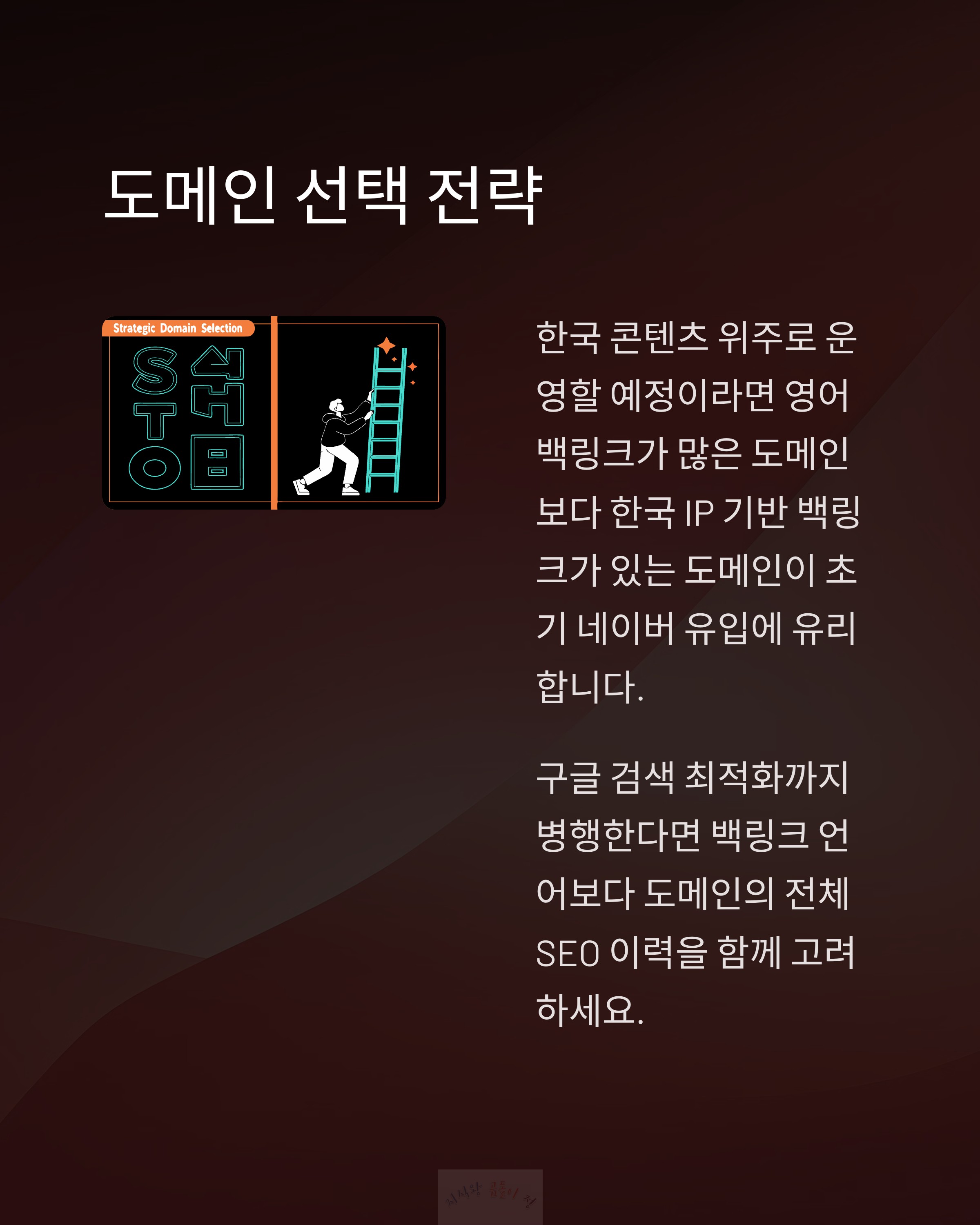 도메인 선택 전략