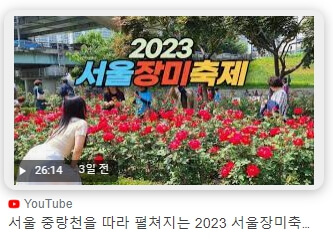 서울장미축제 유투브