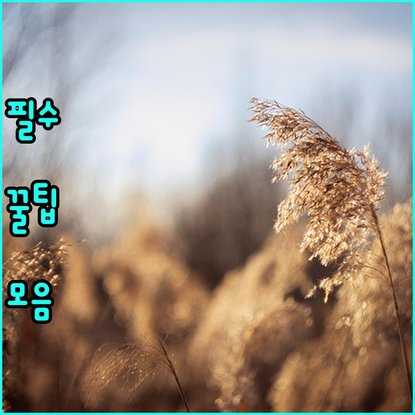 베트남 안장 숙소 탐방기 4만원대 호