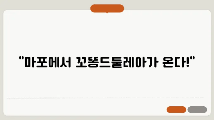 꼬똥드툴레아의 모습