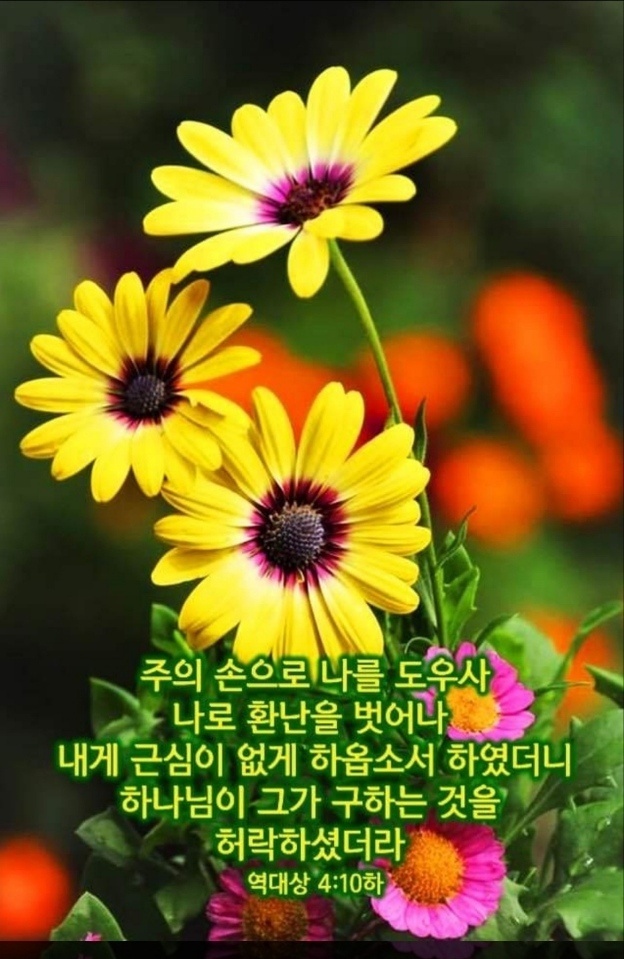 유람 이미지
