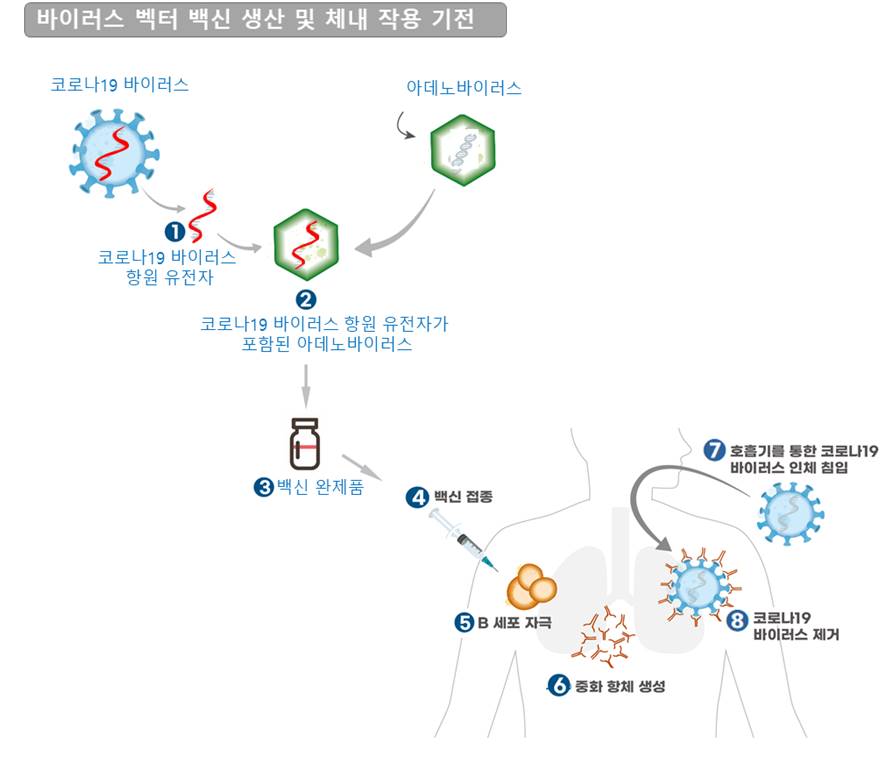 항체치료제