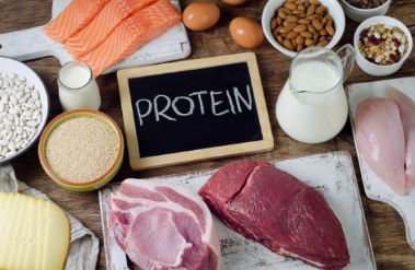 단백질-음식-사진