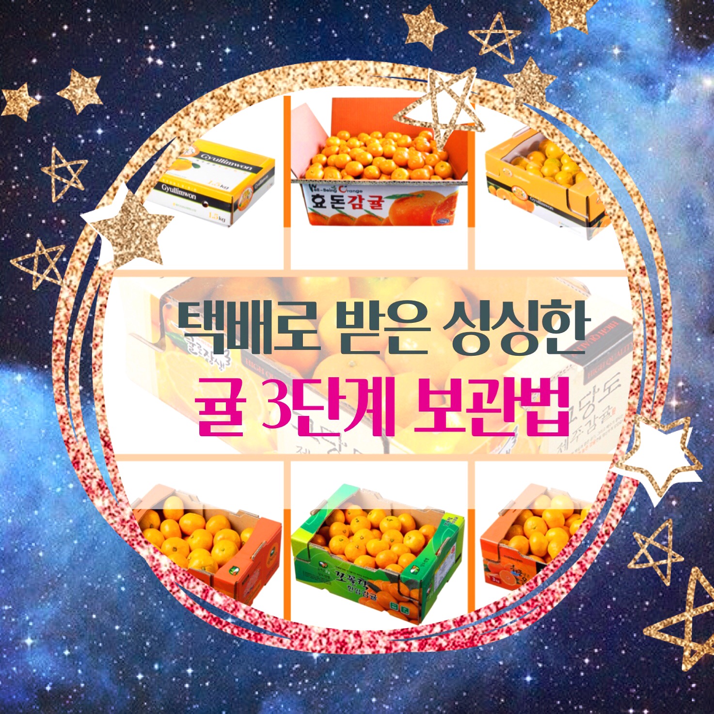  택배로 받은 싱싱한 귤 3단계 보관법