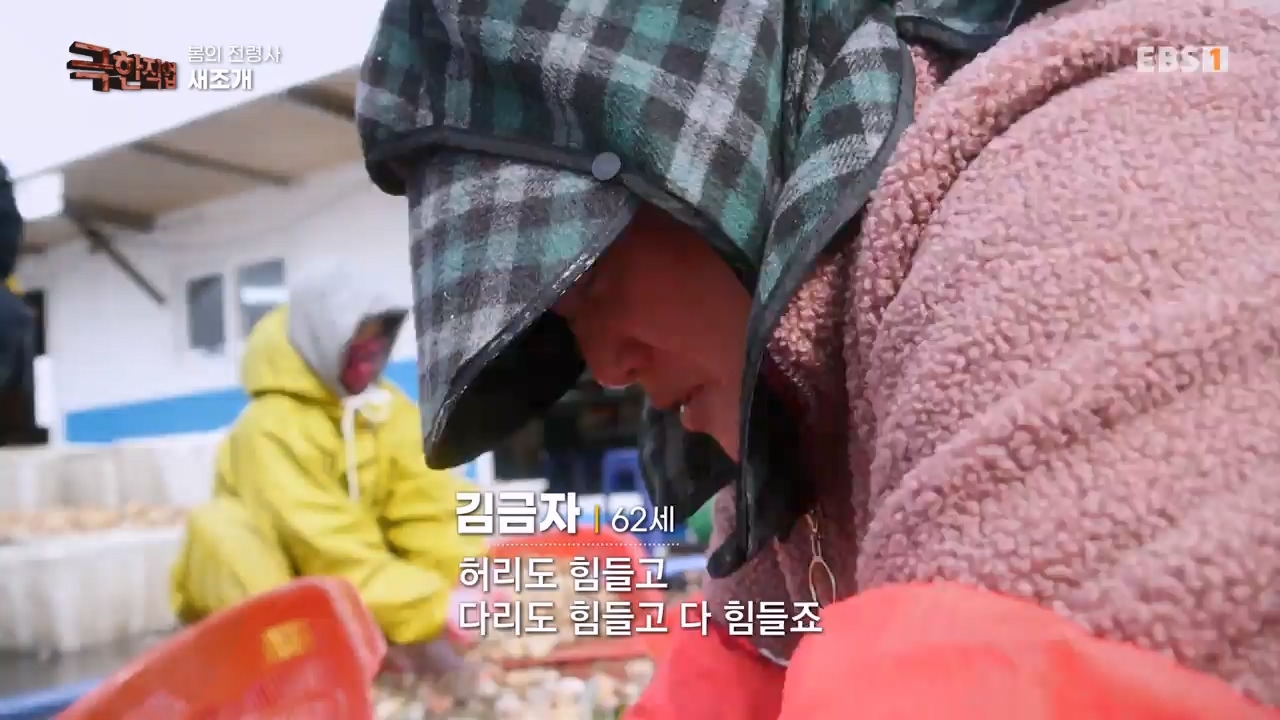 TV - 전 국민의 평생학교 EBS봄의 전령사! 새조개, 미나리, 주꾸미.mp4_20240316_171248.813.jpg