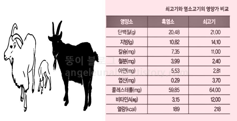 흑염소효능 염소고기 흑염소추출물 흑염소추출물 효과 부작용 아라키돈산 천호식품 원기회복 기력보충 건강즙