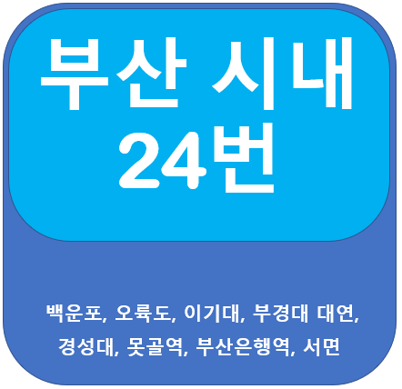  부산 24번 버스 노선정보, 오륙도, 경성대, 서면