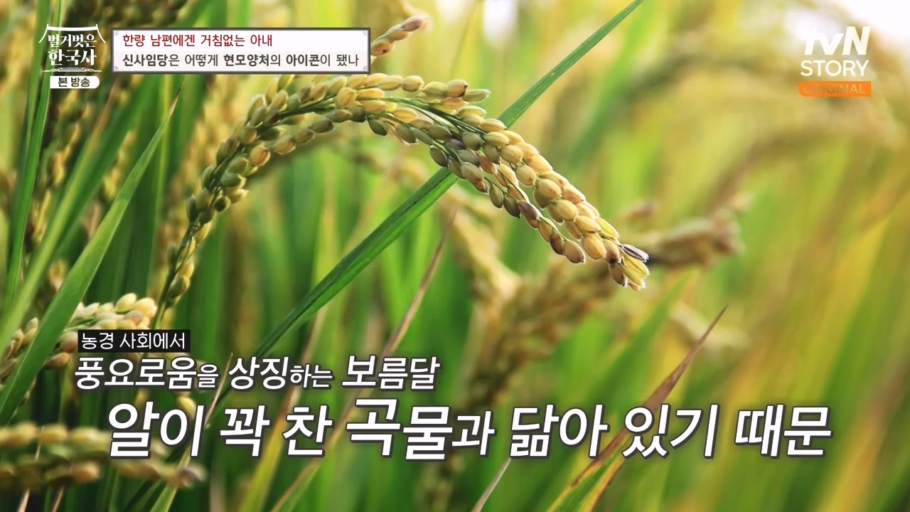 벌거벗은 한국사.E75.230928p-NEXT.mp4_20240511_153908.206.jpg