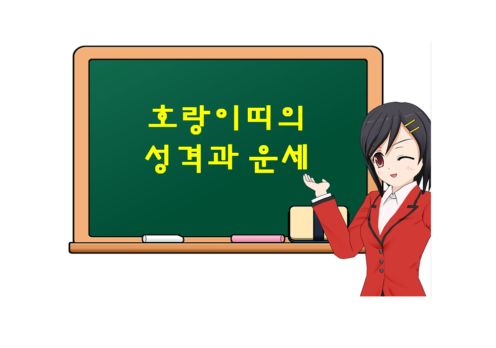  호랑이띠의 성격과 운세, 범띠에 대해 궁금하다면?