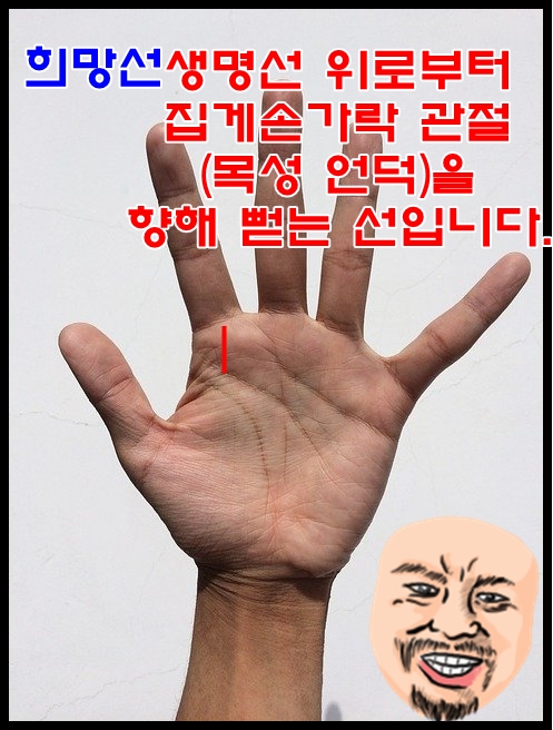  손금에서 희망선으로 보는 자신의 희망과 꿈